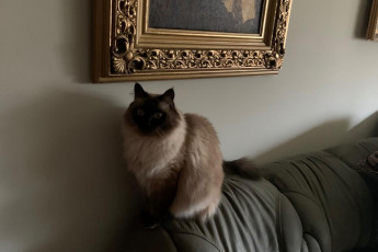 Продам 2-х кімнатну квартиру, Сосновая Горка, Код: 214907/8