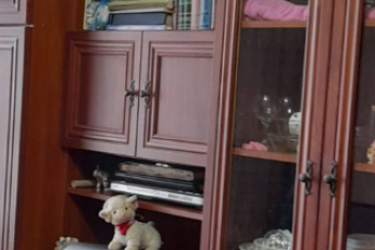 Продам гостинку, Старая Салтовка, Код: 411603/3