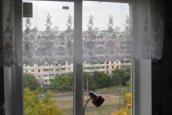 Сдам 1-кімнатну квартиру, Салтовка, Код: 464699/2