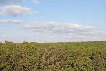 Продам 2-х кімнатну квартиру в новобудові, Алексеевка, Код: 497500/24