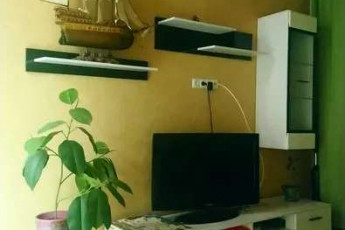 Сдам 1-кімнатну квартиру в новобудові, Холодная Гора, Код: 525576/3