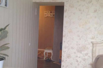 Сдам 1-кімнатну квартиру в новобудові, Алексеевка, Код: 541663/4