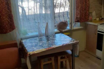 Продам 1-кімнатну квартиру, Салтовка, 625 м/р, Код: 643138/9