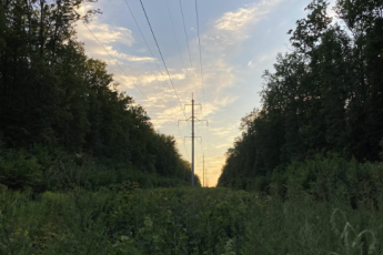 Продам участок, Центр, Науки просп. (Центр), Код: 645573/17