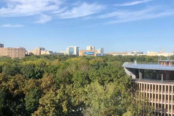 Сдам 1-кімнатну квартиру, Центр, Код: 659947/6