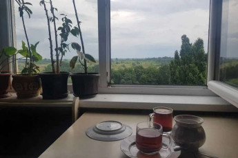 Продам кімнату з підселенням, Салтовка, 533 м/р, Код: 665054/4