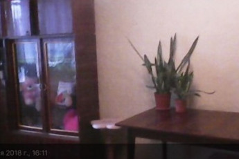 Сдам гостинку, Новые дома, Дворец спорта, Код: 690275/1