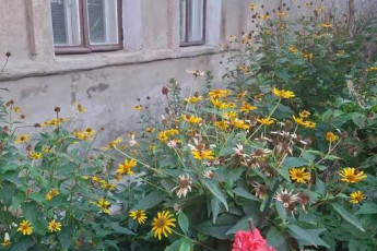 Продам 1-кімнатну квартиру, Центральный рынок, Код: 699710/4