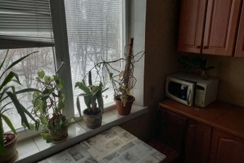 Сдам 2-х кімнатну квартиру, Салтовка, Студенческая метро, Код: 703614/5