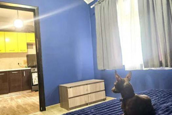 Сдам 2-х кімнатну квартиру, Гагарина проспект, Защитников Украины метро (Площадь Восстания), Код: 704072/1