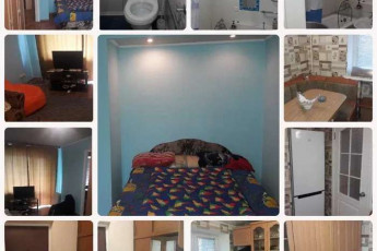 Сдам 1-кімнатну квартиру, Павлово поле, Код: 706151/1