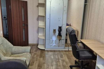 Сдам 1-кімнатну квартиру, Салтовка, Код: 727383/4