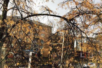 Сдам 1-кімнатну квартиру, Павлово поле, Ботанический сад метро, Код: 750231/2