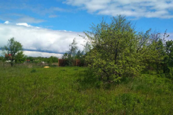 Продам участок, Дергачевский р-н, Лужок (Дергачевский район), Код: 772143/4