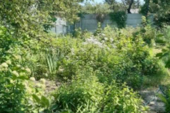 Продам участок, Сосновая Горка, Ляпунова ул., Код: 790811/39