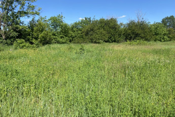 Продам участок, ХТЗ, Северина Потоцкого ул., Код: 796626/1