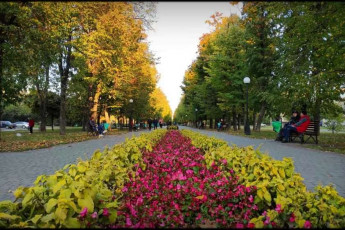 Сдам 1-кімнатну квартиру, Новые дома, Код: 798186/1