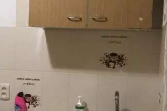 Сдам 1-кімнатну квартиру, Новые дома, Маршала Жукова метро (Дворец спорта), Код: 798759/1