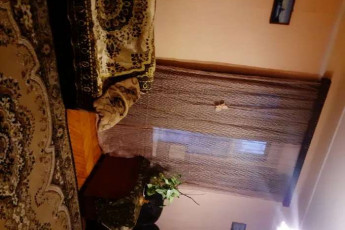 Сдам 2-х кімнатну квартиру, Салтовка, Академика Барабашова метро, Код: 799941/1