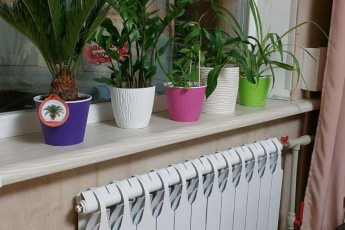 Продам 3-х кімнатну квартиру, Салтовка, Код: 799954/1