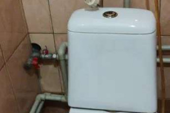 Сдам 1-кімнатну квартиру, Салтовка, Академика Барабашова метро, Код: 800375/1