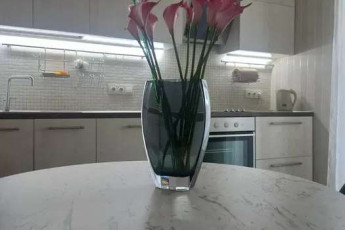 Сдам 1-кімнатну квартиру, Гагарина проспект, Спортивная метро, Код: 800716/2