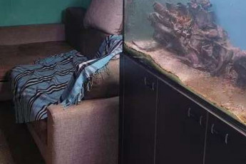 Сдам 2-х кімнатну квартиру, Новые дома, Код: 802320/1