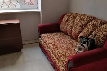 Сдам гостинку, Новые дома, Маршала Жукова метро (Дворец спорта), Код: 802537/1