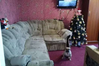 Сдам 1-кімнатну квартиру, Салтовка, ТРК Украина, Код: 804014/1