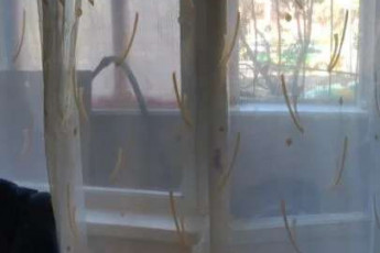 Продам 1-кімнатну квартиру, Новые дома, Маршала Жукова метро (Дворец спорта), Код: 804161/1