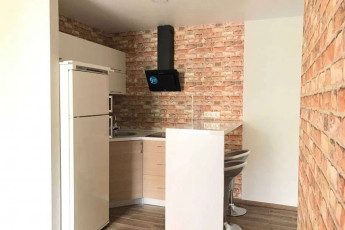 Сдам 1-кімнатну квартиру, Гагарина проспект, Спортивная метро, Код: 804568/3