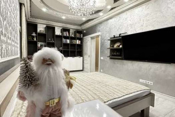 Сдам 2-х кімнатну квартиру, Центр, Код: 805643/1