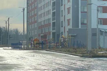 Продам 1-кімнатну квартиру в новобудові, Журавлевка, Код: 805869/1