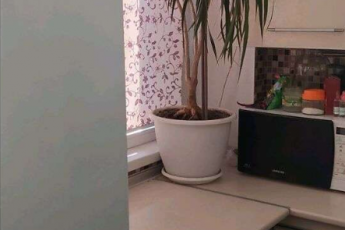 Продам 2-х кімнатну квартиру, Завод Шевченко, Код: 806105/1