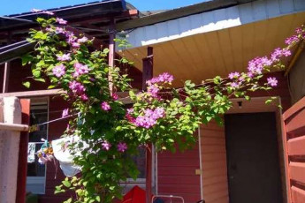 Продам квартиру, Гагарина проспект, Проспект Гагарина метро, Код: 806150/1