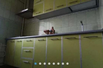 Продам 3-х кімнатну квартиру, Песочин, Мобиль, Код: 809013/1