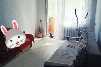 Сдам 2-х кімнатну квартиру, Салтовка, Код: 809988/1