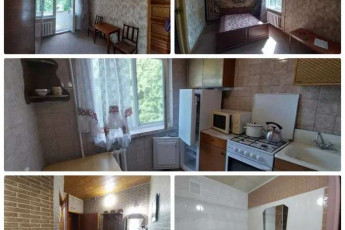 Сдам 1-кімнатну квартиру, Новые дома, Код: 810586/1