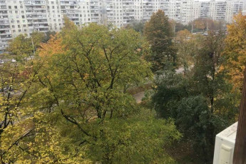 Сдам 2-х кімнатну квартиру, Салтовка, Студенческая метро, Код: 810983/1