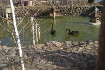 Продам 2-х кімнатну квартиру, Гагарина проспект, Метростроителей метро, Код: 812024/1