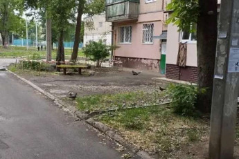 Продам 1-кімнатну квартиру, Новые дома, Армейская метро (Советской Армии), Код: 812150/1