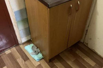 Сдам гостинку, Новые дома, Маршала Жукова метро (Дворец спорта), Код: 812439/1