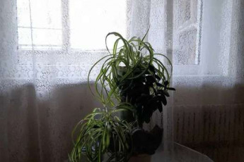 Сдам 2-х кімнатну квартиру, Алексеевка, Алексеевская метро, Код: 812450/2