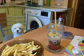 Сдам 2-х кімнатну квартиру, Новые дома, Маршала Жукова метро (Дворец спорта), Код: 812640/1