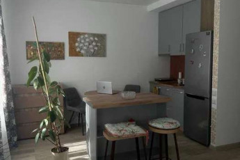 Сдам 1-кімнатну квартиру, Центр, Код: 813408/1