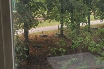 Продам 1-кімнатну квартиру, Салтовка, Код: 813684/1