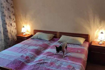 Сдам 1-кімнатну квартиру, Салтовка, Код: 814014/1