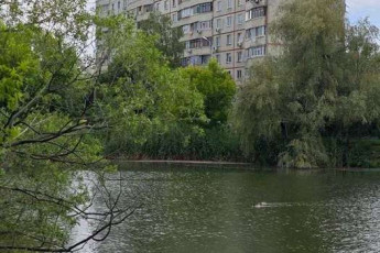 Сдам 3-х кімнатну квартиру, Северная Салтовка, Код: 815909/1