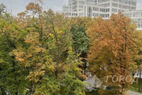 Сдам 3-х кімнатну квартиру, Центр, Пушкинская метро, Код: 108594/7