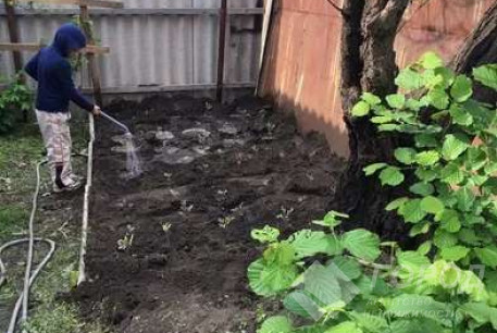 Сдам гостинку, Одесская, 13 больница, Код: 200802/3